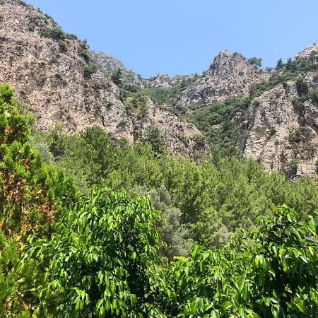 Lavanta Butik Turunc 3* Mugla